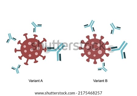 The spike protein (S) was bound with specific antibodies (Neutralizing antibodies) to variant A and B of pathogen molecule: COVID-19 or SARS-CoV-2, other viruses