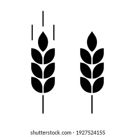 Spike wheat. Bread grain. Wheat logo. Icon bakery. Stalk oat, barley, corn, rye, malt, bran, millet, maize, rice, beer. Harvest seed for flour. Healthy eating. Stalks ear of wheat. Sign crop. Vector