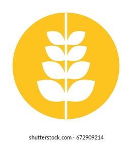 spike wheat isolated icon