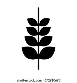 spike wheat isolated icon