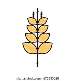 spike wheat isolated icon