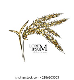 Spike of wheat logo. Vector illustration