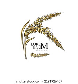 Spike of wheat logo. Vector illustration