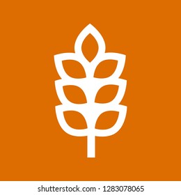 spike of wheat. vector icon