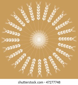 spiked grains background