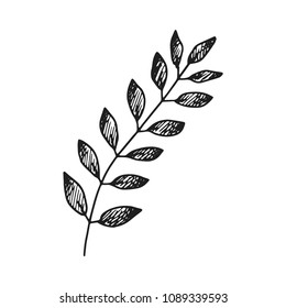 spikelet icon vector sketch. hand drawing.
