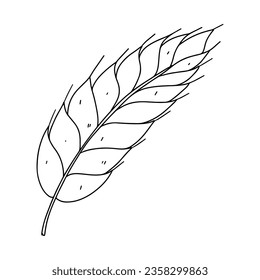 Spikelet of wheat. Hand drawn doodle style. Vector illustration isolated on white. Coloring page.