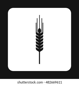 Spikelet of wheat icon in simple style isolated on white background. Cereal symbol vector illustration