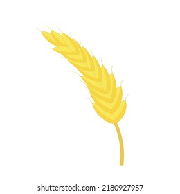 Espikelet de trigo aislado. Elemento de diseño de vectores para agricultura, panadería, grano
