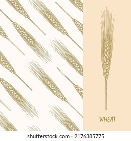 Spikelet of wheat on the background of a seamless texture. Handmade graphics engraved ink art. Victorian lithograph style. Vintage engraving. Sketchy hand-drawn vector botanical illustration.
