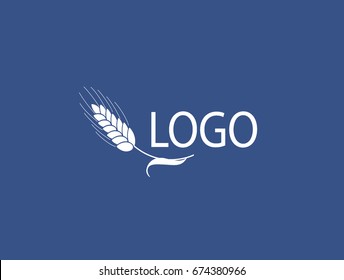 Spikelets. Golden wheat on white background. Organic product logo design vector template. Agricultural Logotype concept.