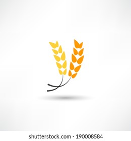 spikelets icon