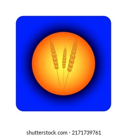 Spikelets icon on a yellow-blue background. Vector drawing of a yellow ladybug in the evening sky with ears of wheat.