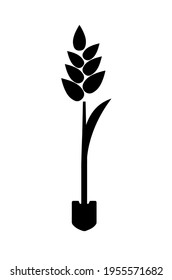 Spikelets icon wheat cereal organic sheaf plant. Shovel.