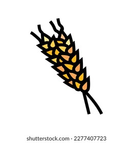 spikelets ripe wheat color icon vector. spikelets ripe wheat sign. isolated symbol illustration