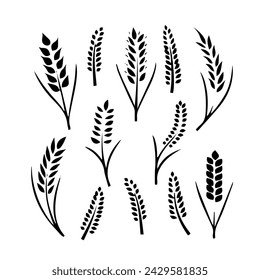 Spikelets of wheat and cereal, black and white vector drawing