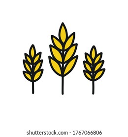 spikelets of wheat doodle icon, vector illustration