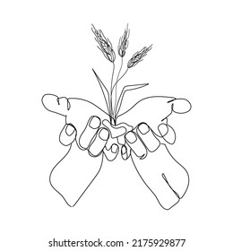 Spikelets of wheat growing in human palms. Line art black and white vector illustration.Hands holding wheat.Minimalist design.Save of grain crops.Global food crisis.Agriculture