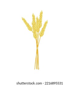 Spikelets of wheat illustration. Thanksgiving autumnal decorative element. Flat vector wheat illustration, isolated on white background. Happy Thanks giving day. 