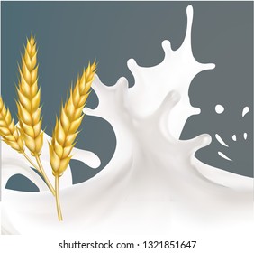 spikelets of wheat and milk covered cereal 3d realistic isolated illustration vector