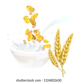 spikelets of wheat and milk covered cereal 3d realistic isolated illustration vector