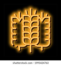 spikelets of wheat neon light sign vector. Glowing bright icon spikelets of wheat sign. transparent symbol illustration