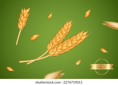 Spikelets of wheat. Oat grain for barley bread. Spike seeds, 3d cereal, agriculture fields, rye flour, gold farm elements. Organic objects. realistic illustration on green background