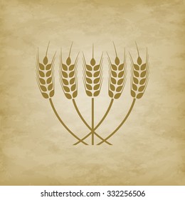 spikelets of wheat on a grunge background - vector illustration. EPS 10