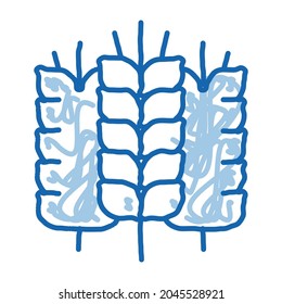 espiquetes del vector de icono de esbozo de trigo. Espiquetes de arte de la línea de doodle azul dibujados a mano de la señal de trigo. ilustración de símbolo aislado