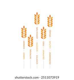 spikes and agriculture concept. agriculture, organic, nutrition, environmental, scientific, equipment, farmer and wheat
