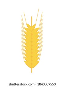 spikes barley nature isolated icon vector illustration design