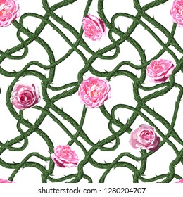 Spikes roses. Seamless pattern. Texture of prickly bush. Vector illustration.