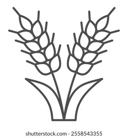 Spikes of wheat thin line icon, farming field concept. Vector graphics. Plant leaves with grains sign on white background, outline style icon for mobile or web design