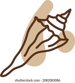 Spikey shell fish, illustration, vector, on a white background.