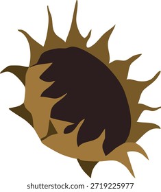 Una cabeza de girasol seca con espigas con semillas oscuras y pétalos marchitos.