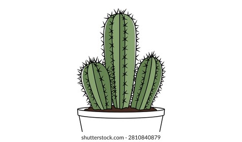 Spiky green desert cactus with sharp black spines planted in a simple white flowerpot on white background.