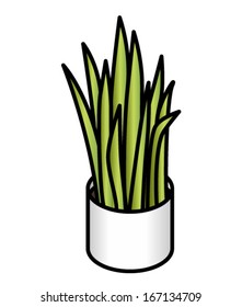 A spiky potted plant.