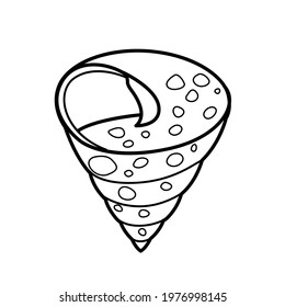 Spiky shell clam outlined for coloring page isolated on white background
