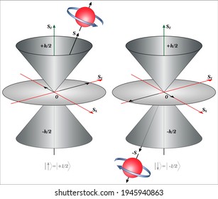 Spin angular momentum cones for a spin