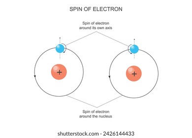 El giro de un electrón es una propiedad intrínseca, similar a su rotación, que contribuye a su momento magnético, crucial en la mecánica cuántica. Ilustración de la estructura atómica química.