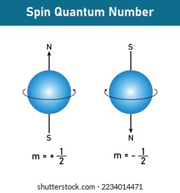 Spin quantum number. Electron spin. Scientific vector illustration isolated on white background.