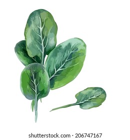 Spinach 