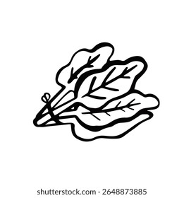 spinach arugula line symbol simple monochrome vector