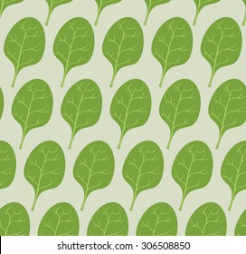 Spinach background. Vector seamless pattern from green leaves of useful plants.