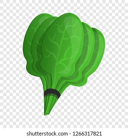 Spinach branch icon. Cartoon of spinach branch vector icon for web design for web design