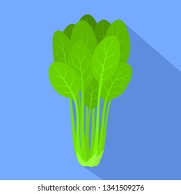 Spinach bundle plant icon. Flat illustration of spinach bundle plant vector icon for web design