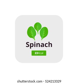 Spinach calories. spinach leaves icon. Qualitative vector illustration for agriculture, vegetables, cooking, health food, gastronomy, olericulture, etc