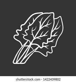 Spinach chalk icon. Salad ingredient. Agriculture plant. Leaves. Vegetable farm. Organic food. Vegan and vegetarian food. Healthy nutrition. Diet. Vitamin. Isolated vector chalkboard illustration