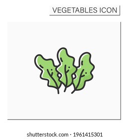 Spinach color icon. Fresh leaf vegetable. Edible plant. Vegetarian, healthy nutrition.Agriculture concept. Isolated vector illustration