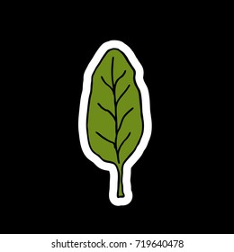 spinach doodle icon